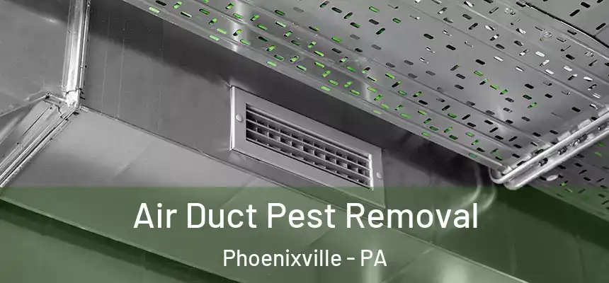Air Duct Pest Removal Phoenixville - PA