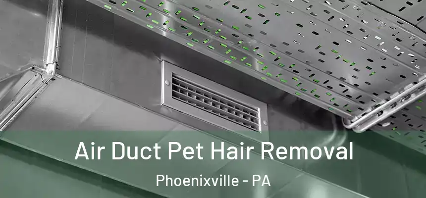  Air Duct Pet Hair Removal Phoenixville - PA