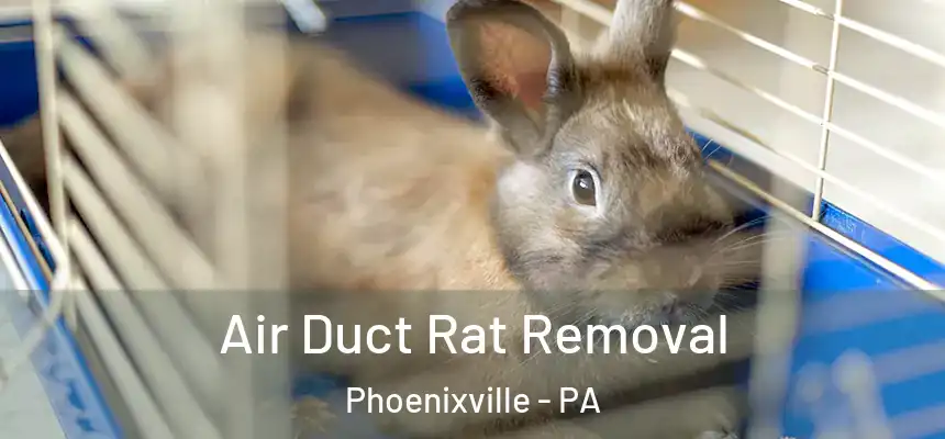 Air Duct Rat Removal Phoenixville - PA