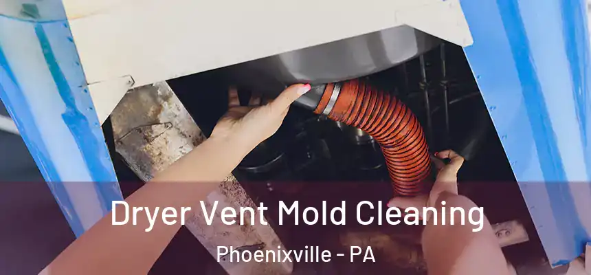 Dryer Vent Mold Cleaning Phoenixville - PA
