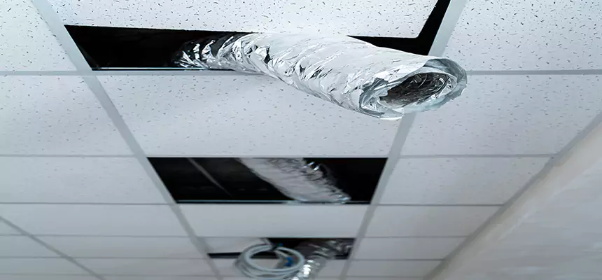 Affordable HVAC Sanitizing After Pest Removal in Phoenixville