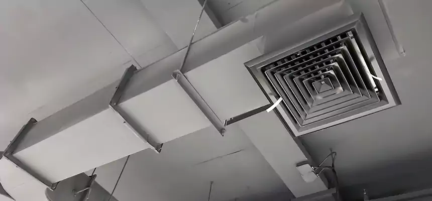 Restorative Allergy Relief Vent Cleaning – Coil, Blower & Housing Detail in Phoenixville