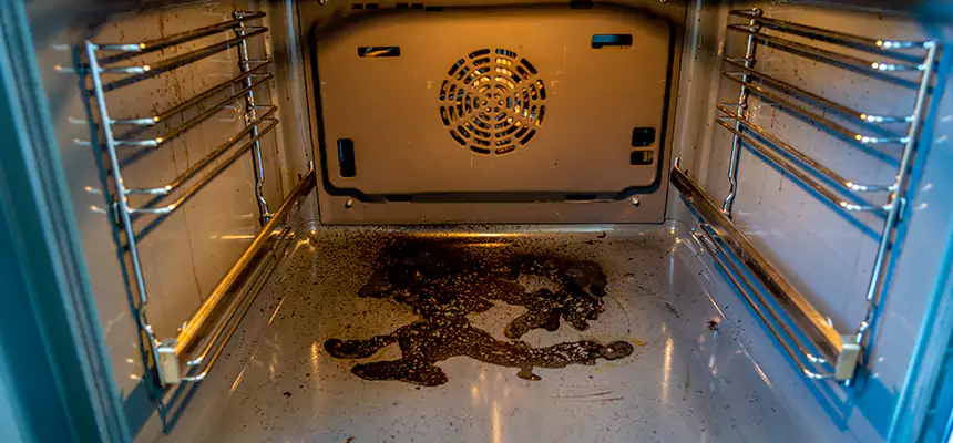 Our Dryer Vent Mold Cleaning Services in Phoenixville, PA