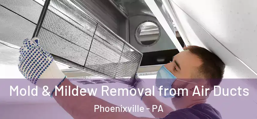 Mold & Mildew Removal from Air Ducts Phoenixville - PA