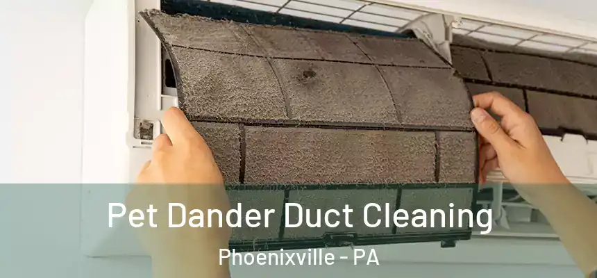 Pet Dander Duct Cleaning Phoenixville - PA