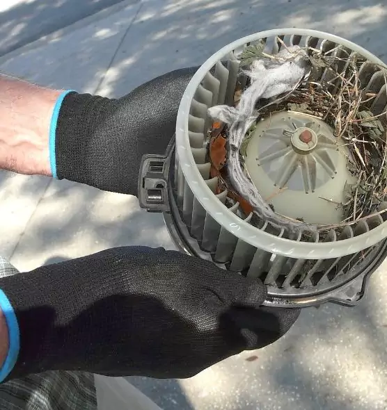 About Air Duct Rat Removal in Phoenixville, PA