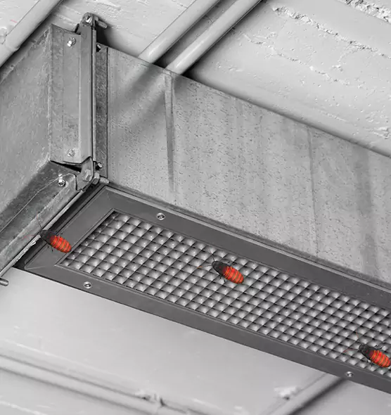 Affordable Insect Removal from Air Ducts in Phoenixville, PA