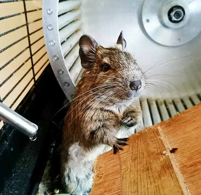 Why Homeowners & Businesses Trust Us Phoenixville, PA