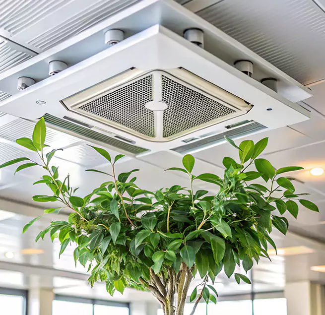 Why Homeowners & Businesses Trust Us in Phoenixville, PA?