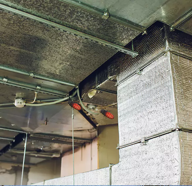 Why Homeowners & Businesses Trust Us Phoenixville, PA?